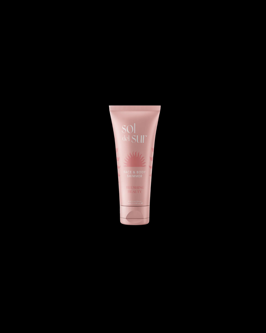 CASE STUDY - SOL DEL SUR